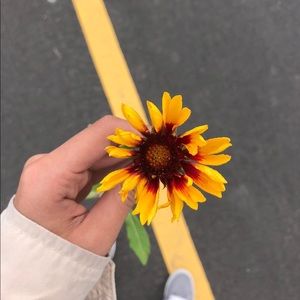 Meet your Posher, Miranda